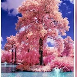 Meet your Posher, Maryam